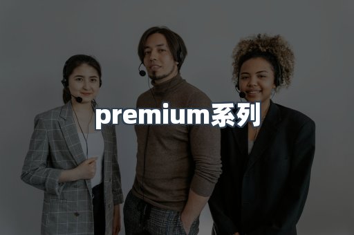 premium系列